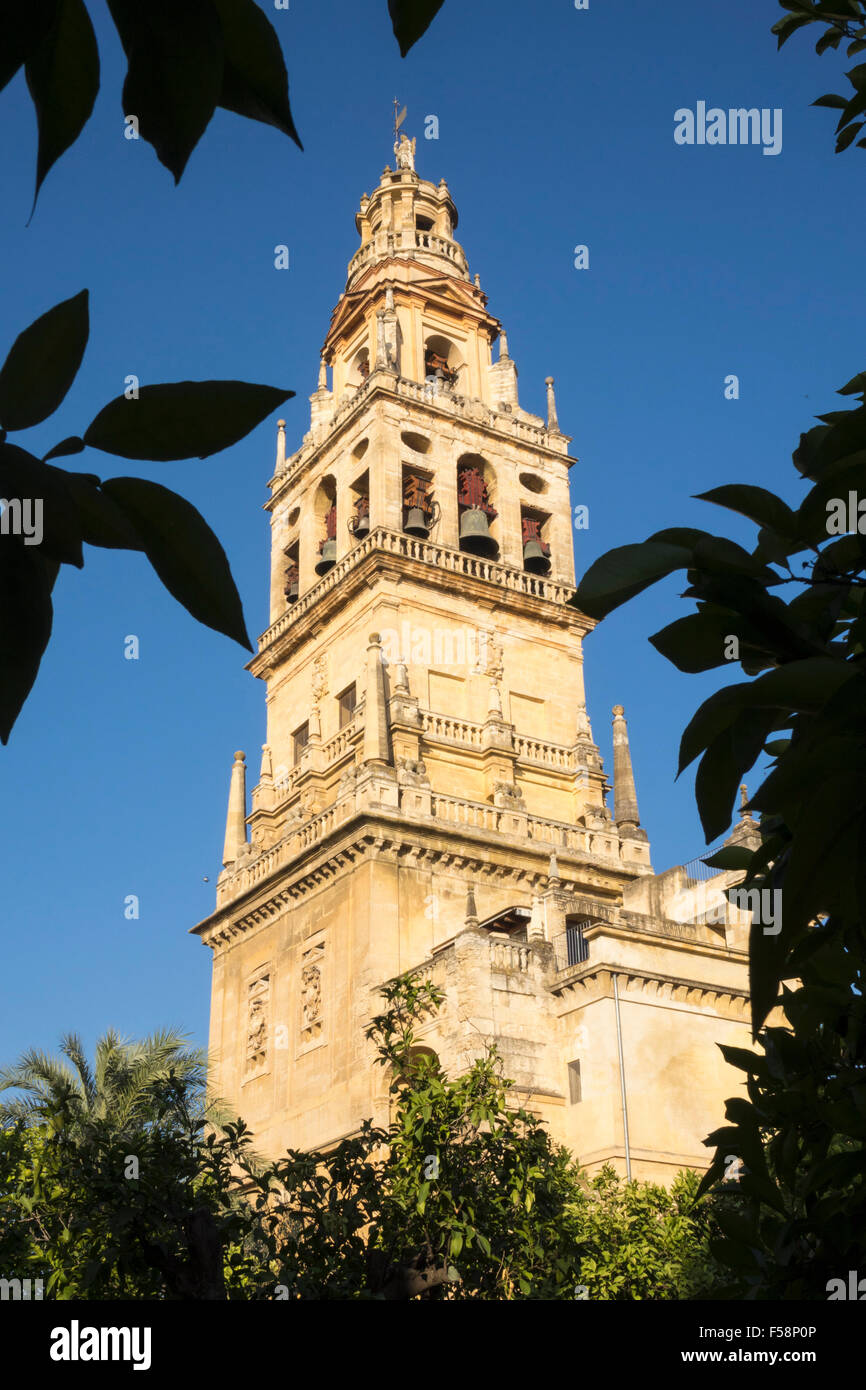 Bell Turm der Moschee und Kathedrale unserer lieben Frau Mariä Himmelfahrt in Córdoba, Andalusien, Spanien Stockfoto