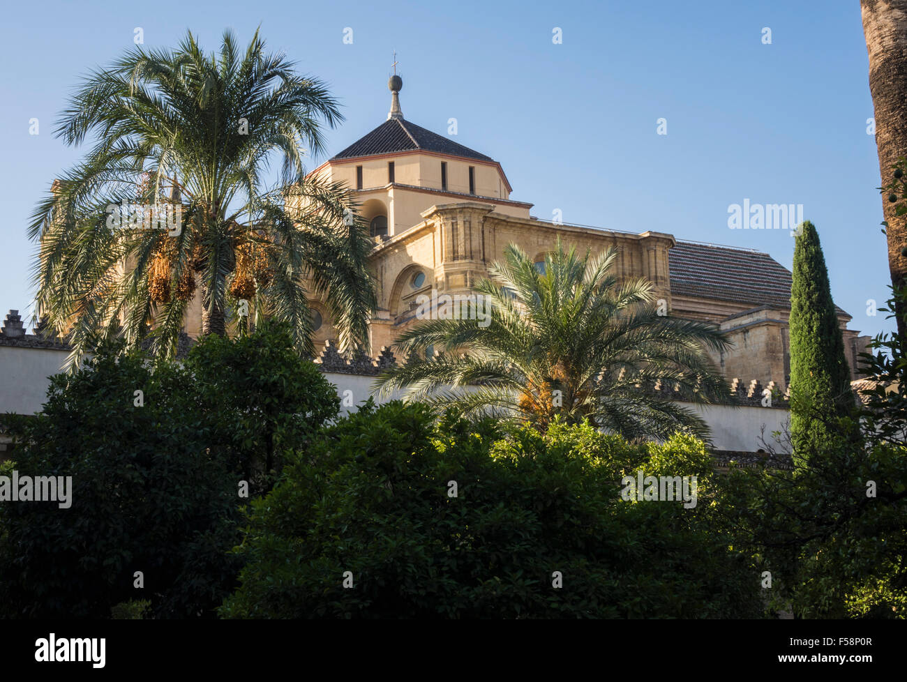Außenseite des großen reich verzierte Moschee und Kathedrale unserer lieben Frau Mariä Himmelfahrt in Córdoba, Andalusien, Spanien Stockfoto