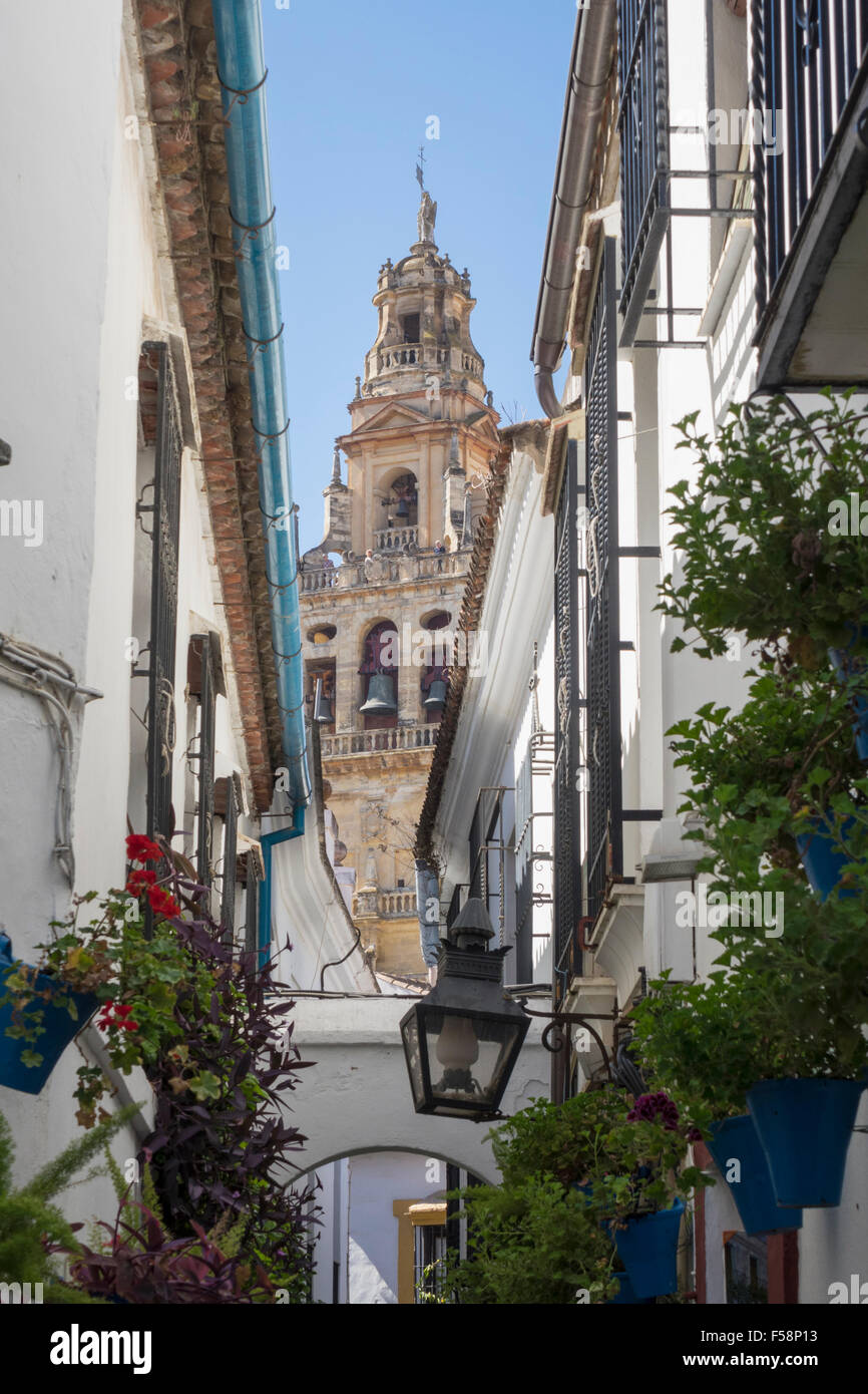 Cordoba, Spanien, Calleja de Las Flores oder Street of Flowers in alte Stadt von Cordoba, Spanien, Europa Stockfoto