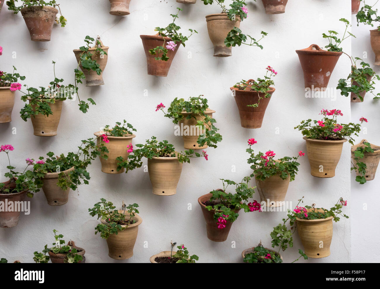 Garten im Innenhof, vertikale Garten - Blumen in Töpfe zu einer weißen Wand befestigt Stockfoto