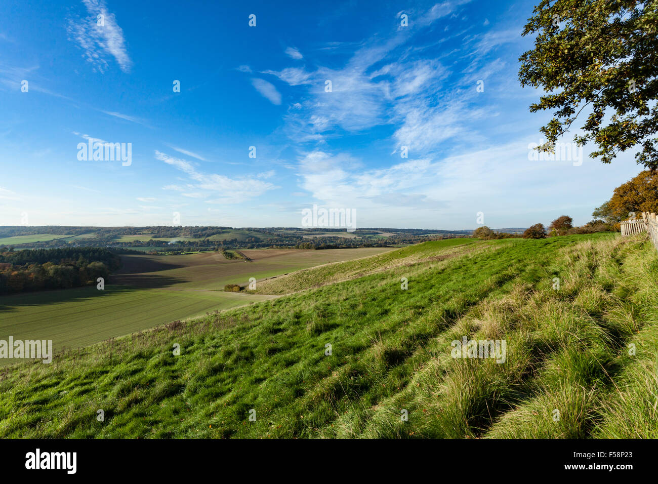 Blick auf die North Downs und Stour Valley in der Nähe von Crundale, Kent, UK Stockfoto