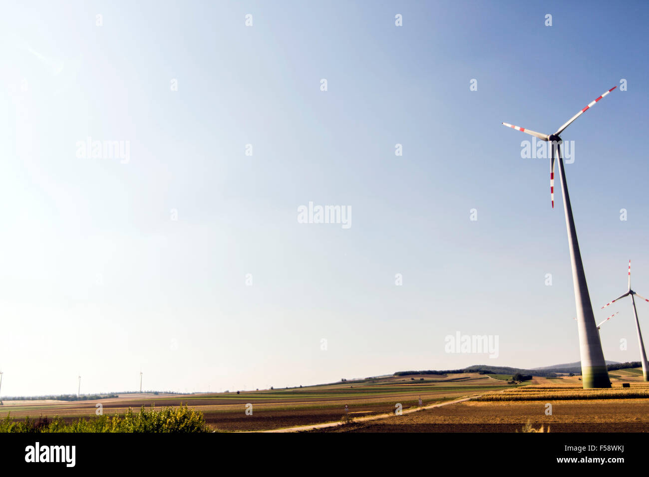 Windräder erzeugen sauberen Strom. Ökologie, Verhinderung der globalen Erwärmung Stockfoto