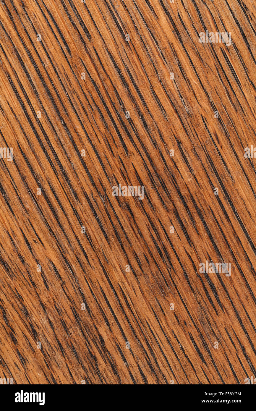 Grunge Holz Textur als Hintergrund verwendet Stockfoto
