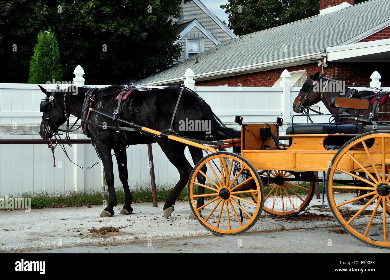 Lancaster County, Pennsylvania: Pferde gespannt auf hölzernen Amish Wagen geparkt in einer Filiale Stockfoto