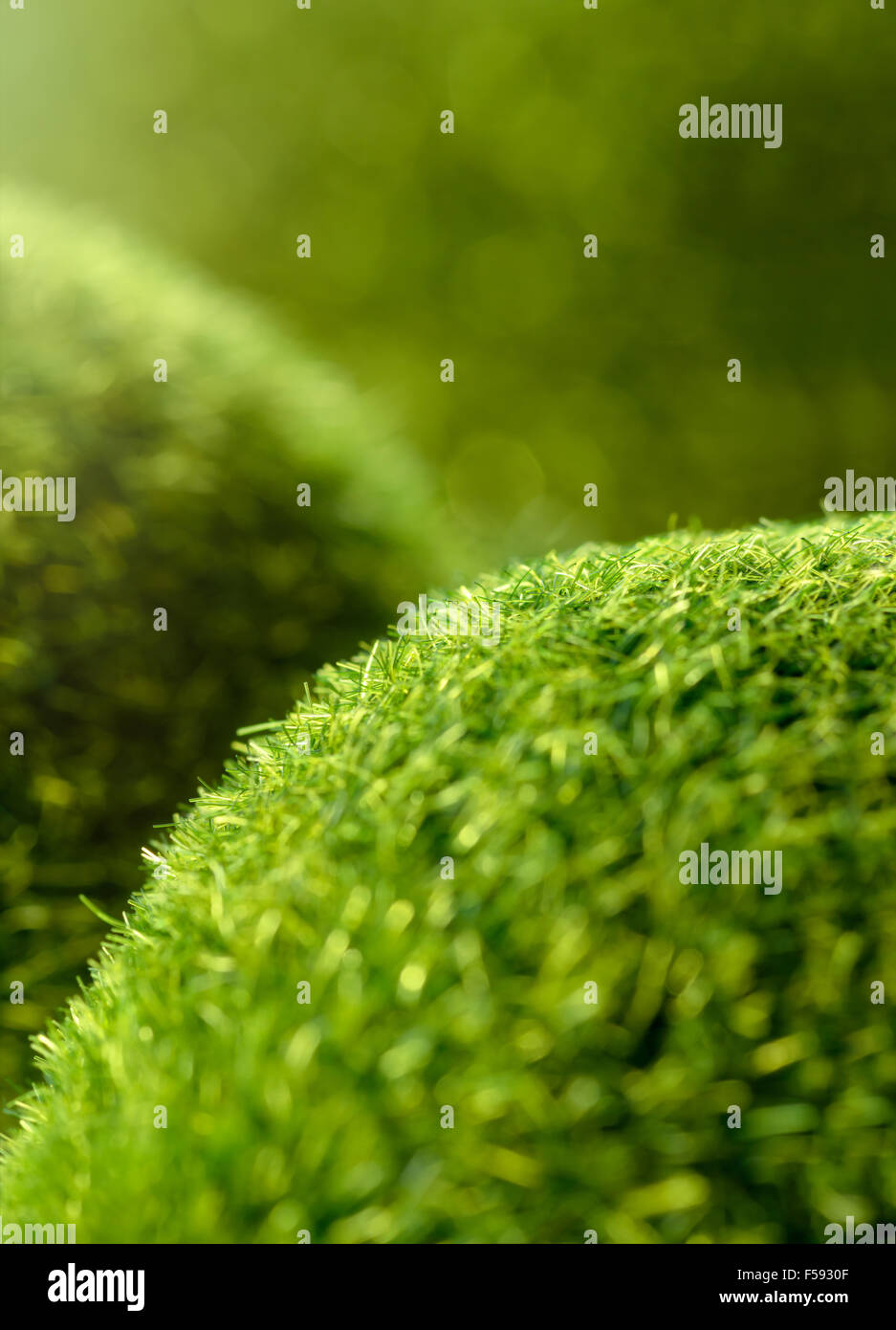 Hintergründe und Texturen: Nachahmung der grüne Grasberge, natürliche Abstract mit Schönheit Bokeh und Sonnenlicht Stockfoto