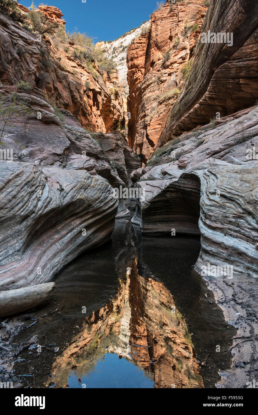 Zion Nationalpark Canyon Teich am Observation Point Trail. Stockfoto