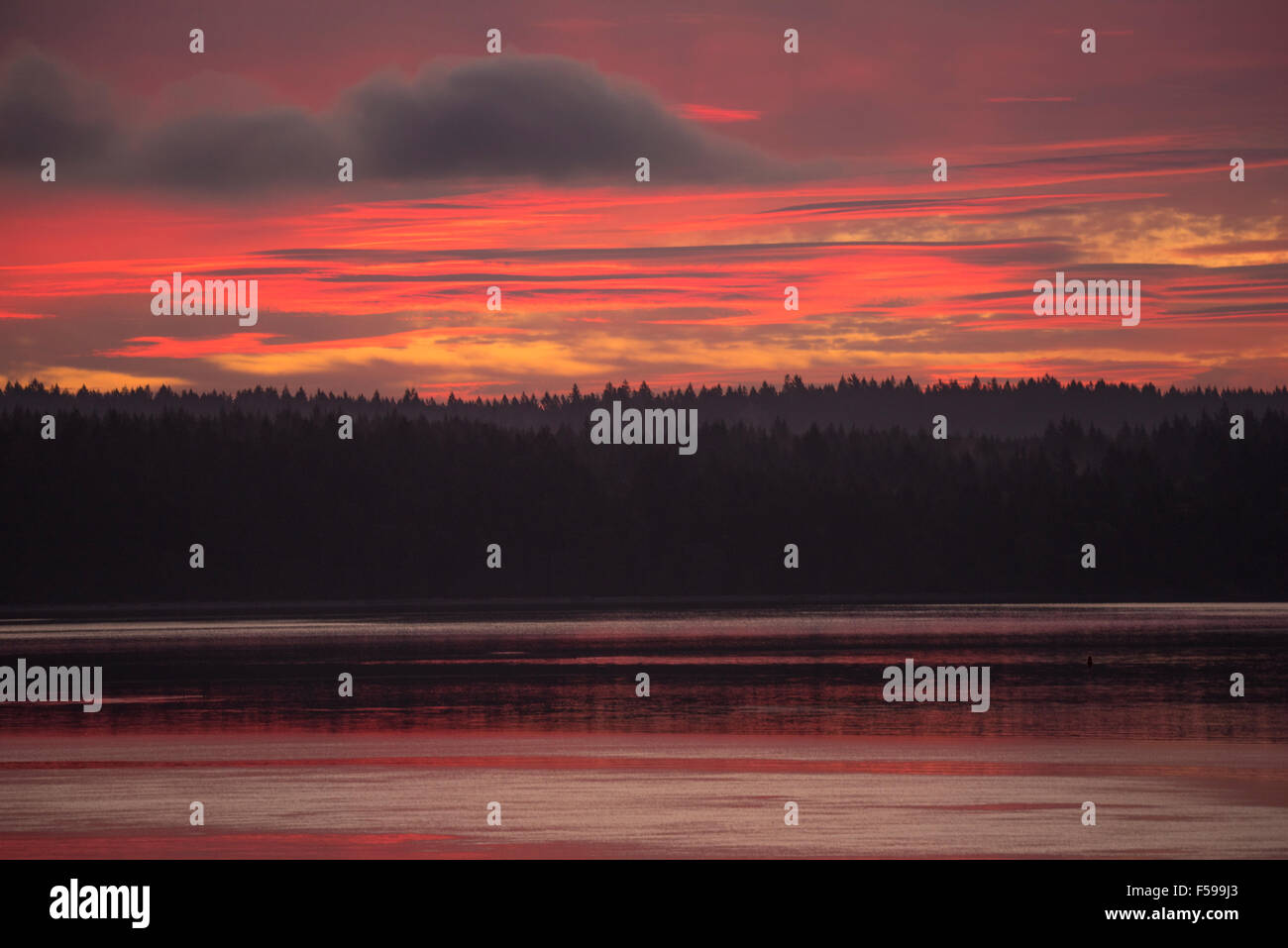 Brillante Sonnenaufgang über bewaldete Squaxin Insel nach einem Regen Sturm auf dem Puget Sound, Washington State, USA Stockfoto
