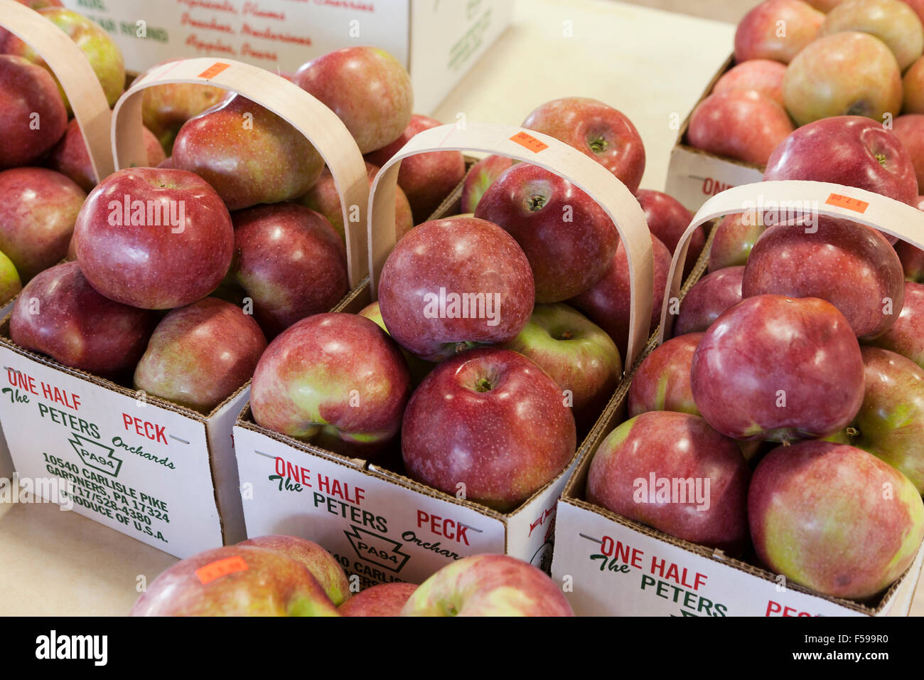 Macoun Äpfel am Bauernmarkt - USA Stockfoto