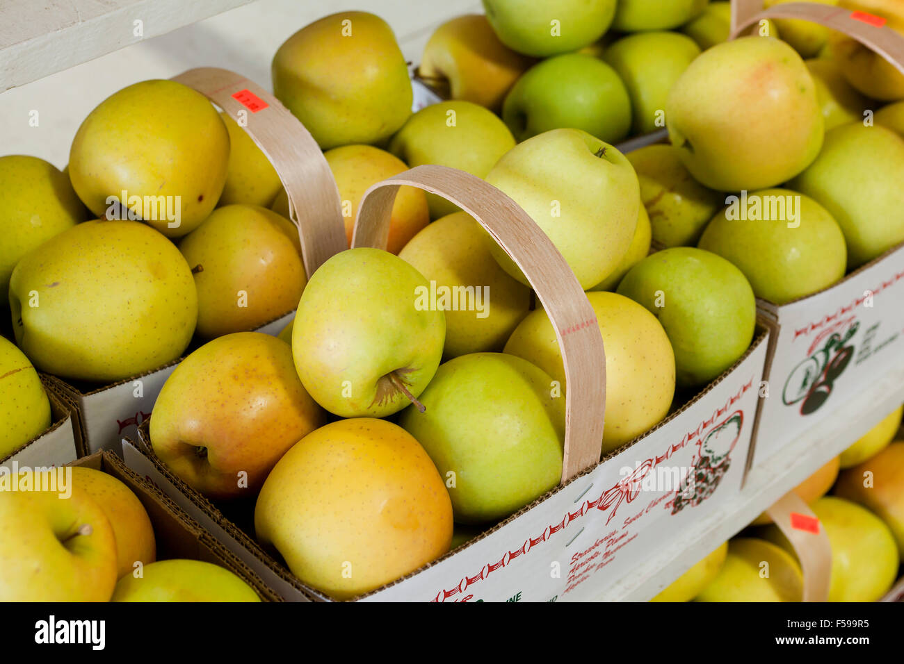Goldene Äpfel am Bauernmarkt - USA Stockfoto