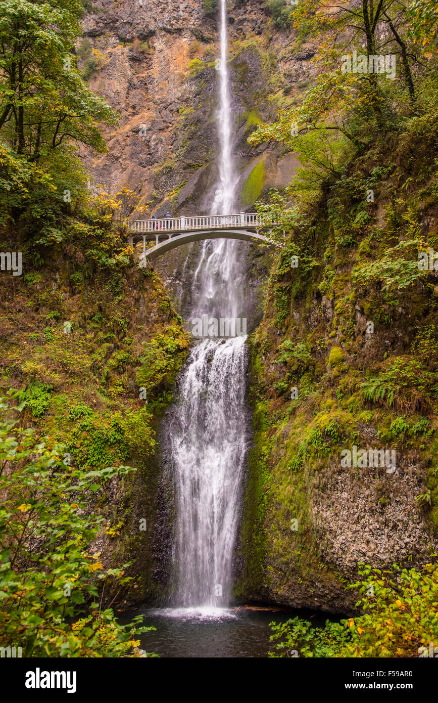 Schöne landschaftlich der Multnomah Falls auf Autobahn Interstate 84 im Herbst. Oregon, USA Stockfoto