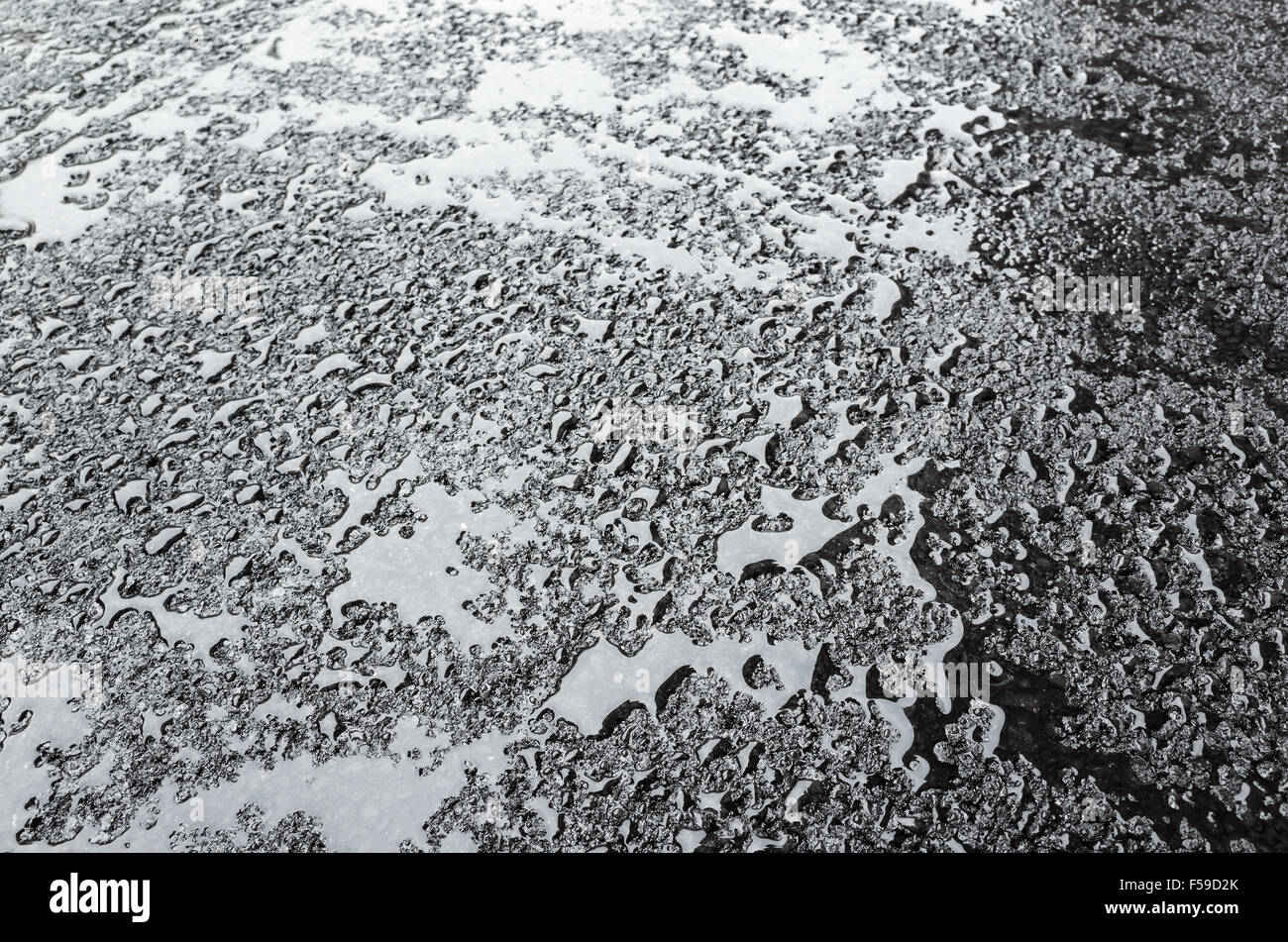 Wassertropfen auf nassen schwarzen Asphalt, Transport Hintergrundtextur Stockfoto