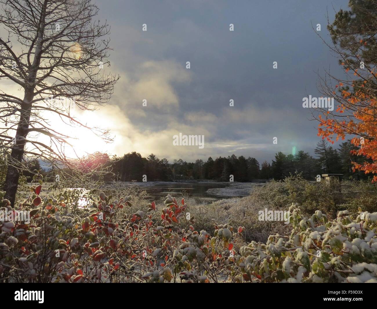 Frühen Schneefall deckt das Herbstlaub im Seney National Wildlife Refuge 23. Oktober 2015 in Seney, Michigan. Stockfoto