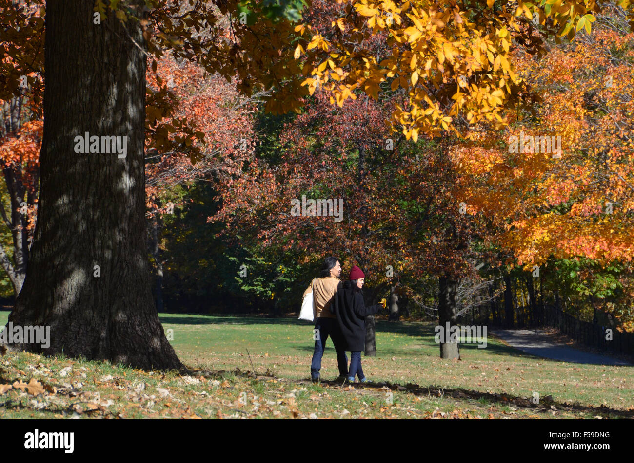 Herbst Blätter im Herbst rot Orange gelb im Prospect Park Brooklyn auf sonnigen Tag blauer Himmel Stockfoto