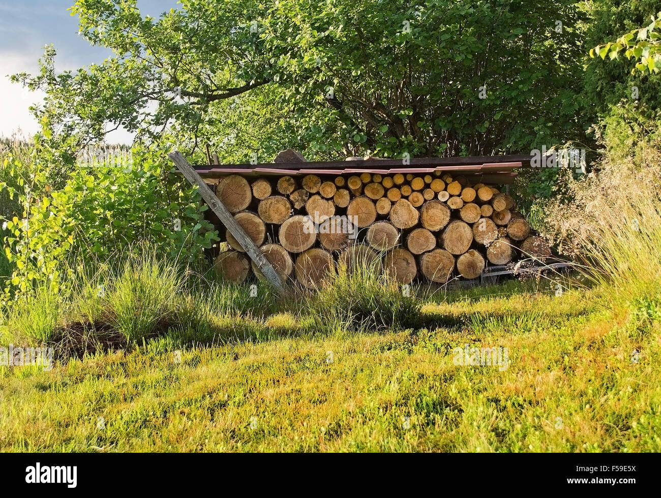 Protokolle für Brennholz Sammlung geschützt unter Metalldach im grünen Rasen in der Sonne, Värmland, Schweden. Stockfoto