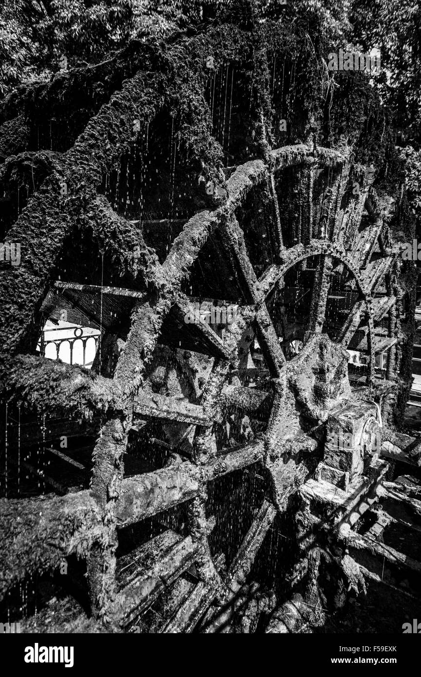 Einer von mehreren Wasserrädern in L'Isle-Sur-la-Sorgue, Frankreich Stockfoto