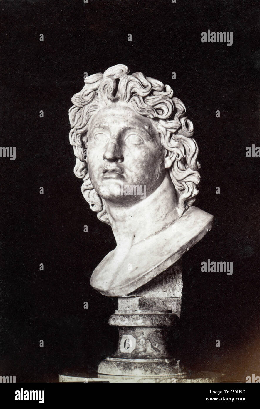 Statue von Alexander dem großen, Rom, Italien Stockfoto