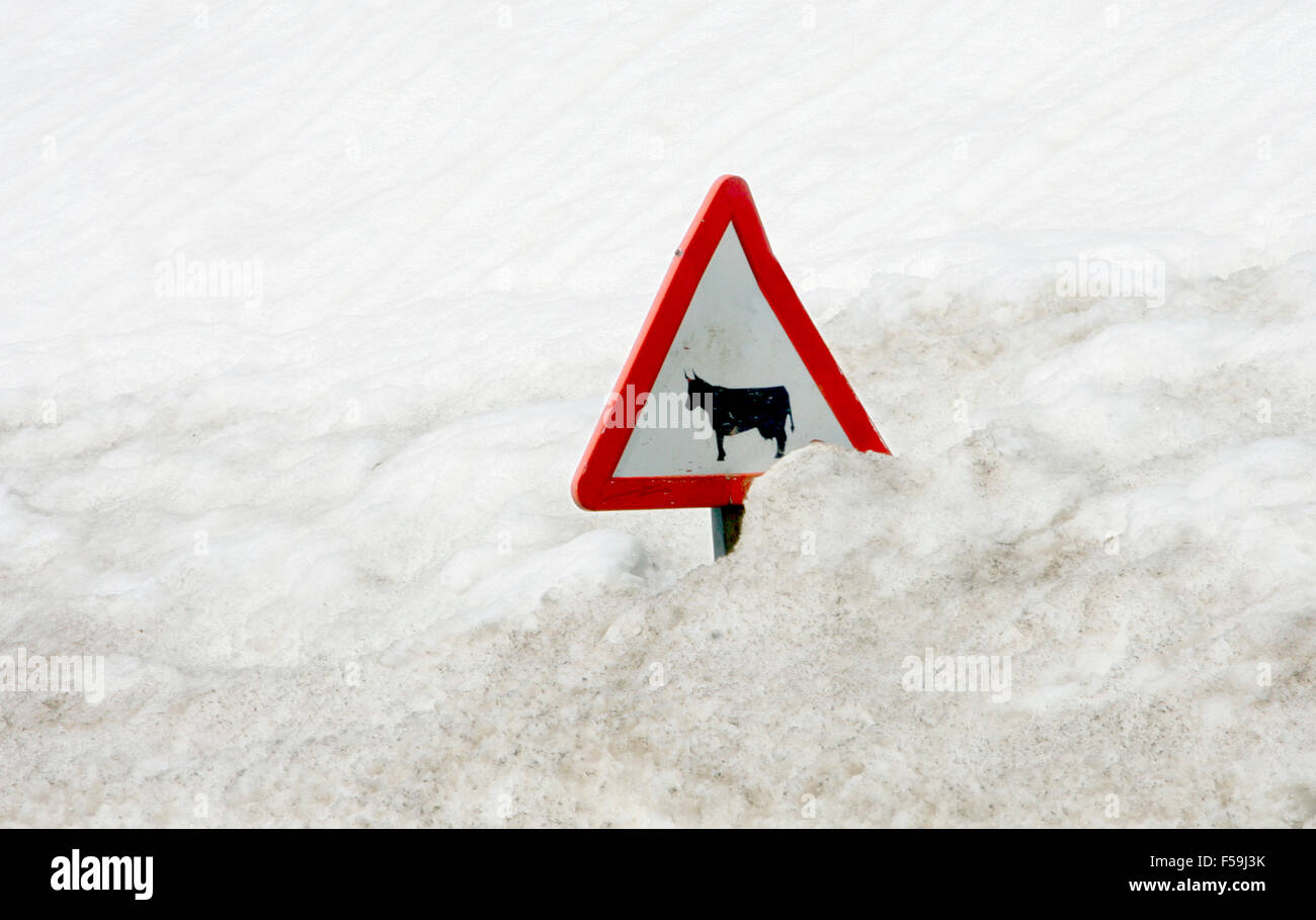 Viel Schnee, Nordspanien fallenden Verkehrszeichen Stockfoto