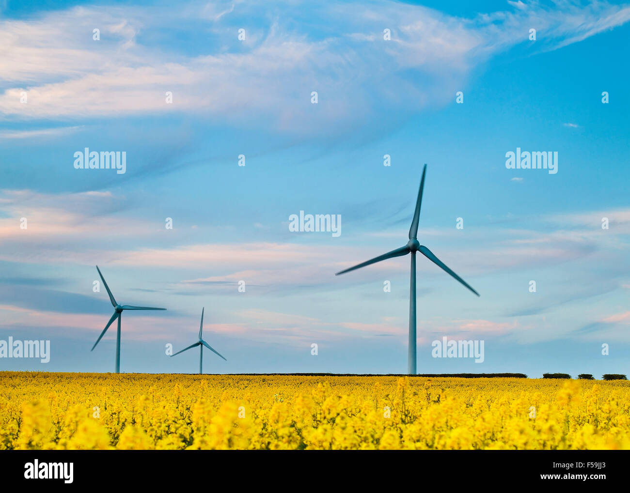 Elektrische Generatoren Wind angetrieben Stockfoto