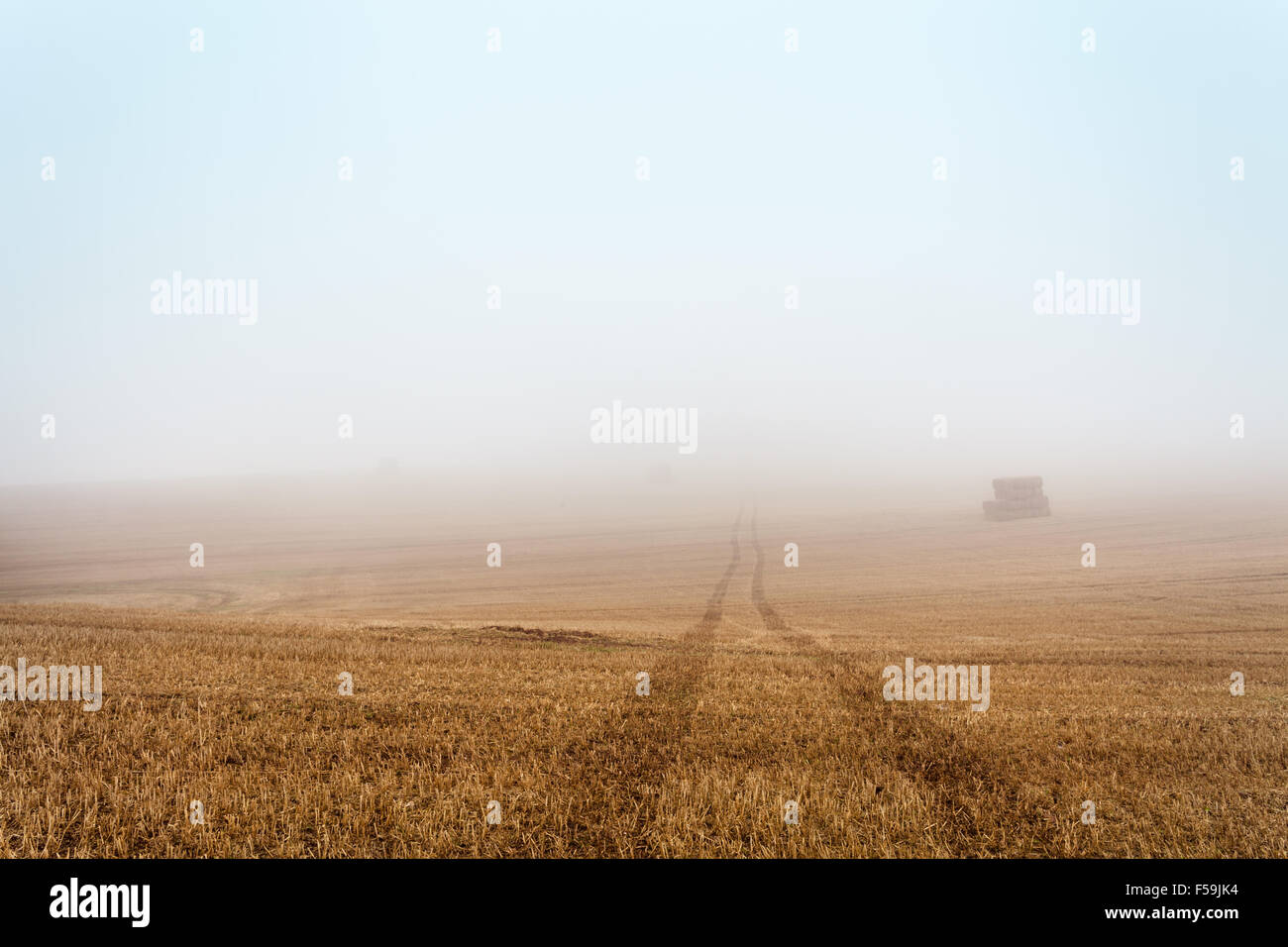 Traktor-Trails auf frisch geerntet Weizenfeld in dichtem Nebel überflutet Stockfoto