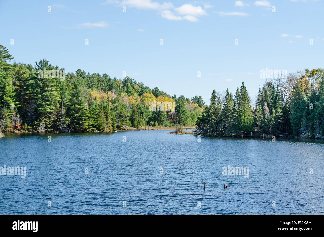 See in Algonquin Park während der Herbst-Saison Stockfoto