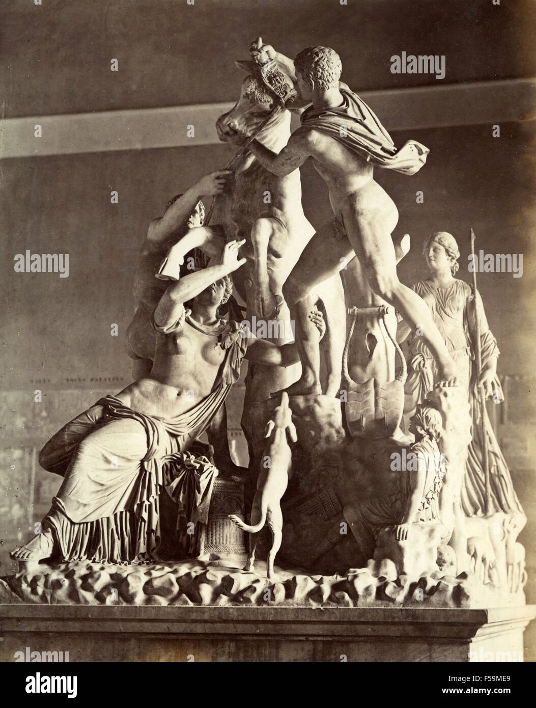 Statue der Qual des Dirce oder Toro Farnese, Italien Stockfoto