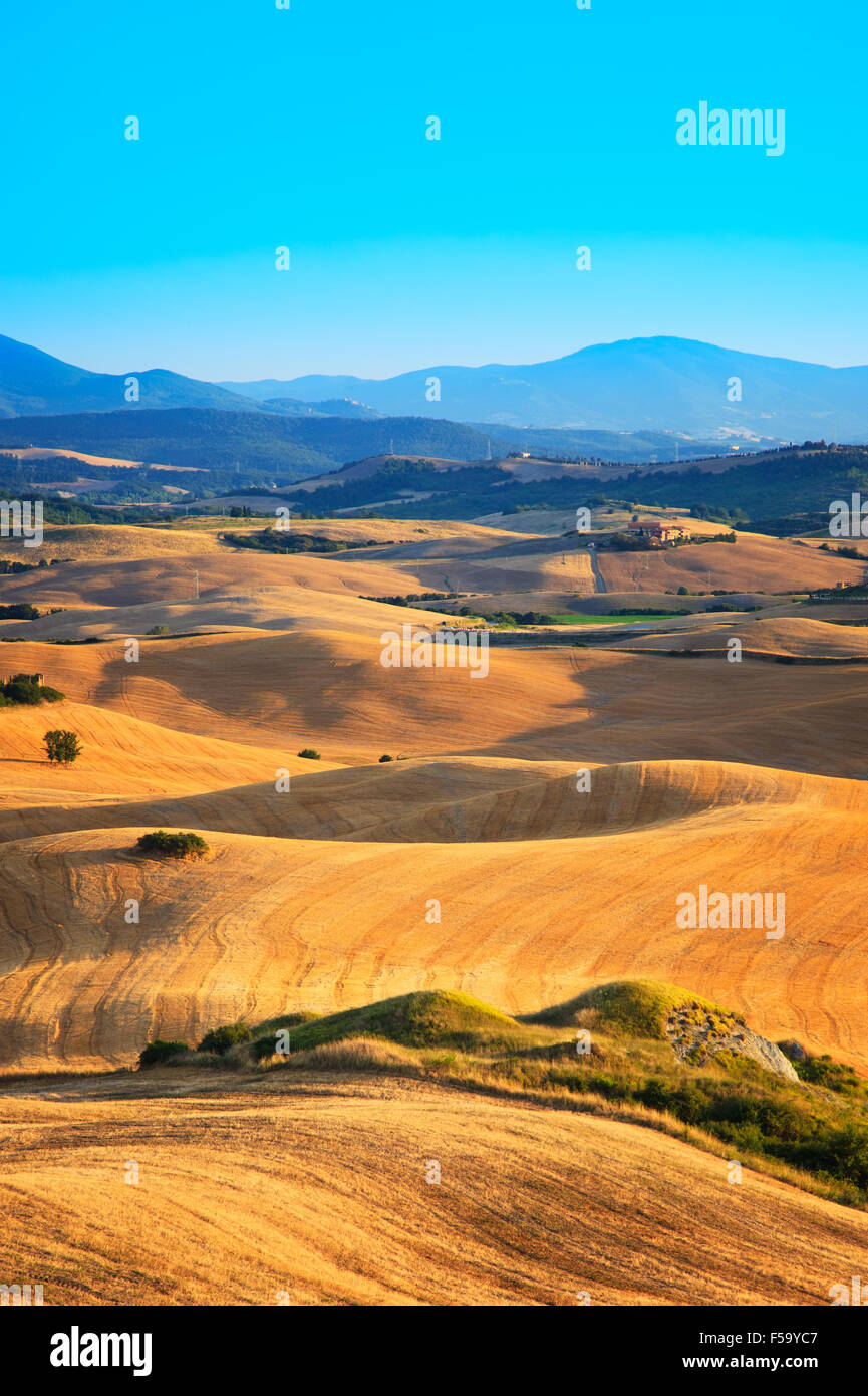 Typische Landschaft der Toskana mit Feld und sanften Hügeln in der Nähe von Volterra, Italien. Stockfoto