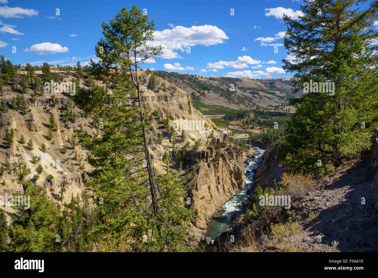 Die Narrows, Yellowstone River, Yellowstone-Nationalpark, Wyoming, USA Stockfoto