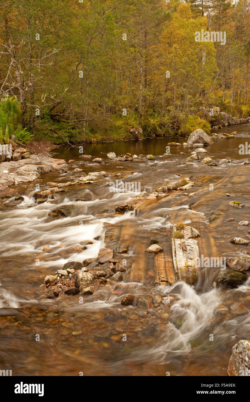 Glen Affric im Herbst Stockfoto