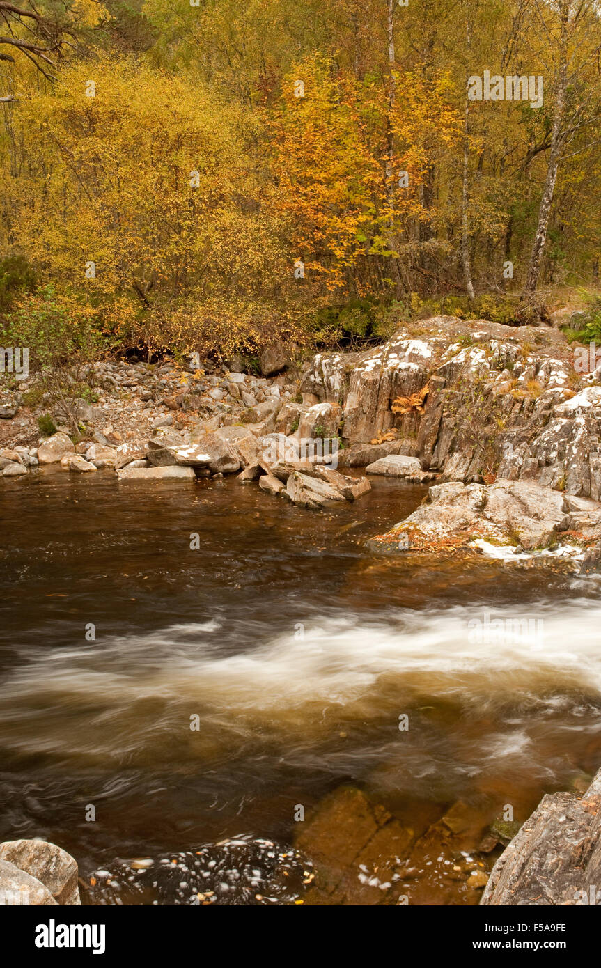 Glen Affric im Herbst Stockfoto