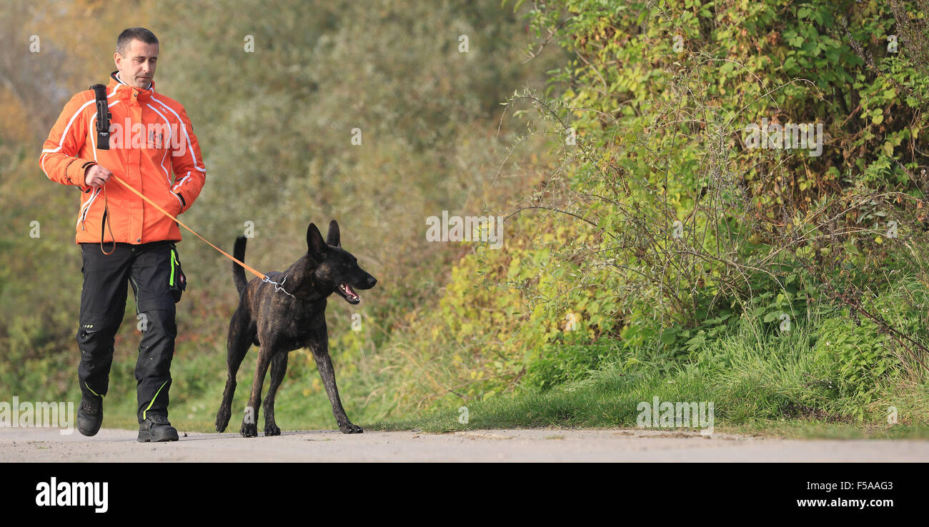 Magdeberg, Deutschland. 30. Oktober 2015. Andre Brendel geht der belgische Schäferhund, Apple in Magdeberg, Deutschland, 30. Oktober 2015. Als Testversion ist der Hund zu holen, den Duft der Asiatische Laubholzbockkäfer, verwendet wird, so dass die Bäume mit den gefährlichen Baum Schädlinge gezielt gesteuert werden können. Foto: Jens Wolf/Dpa/Alamy Live News Stockfoto
