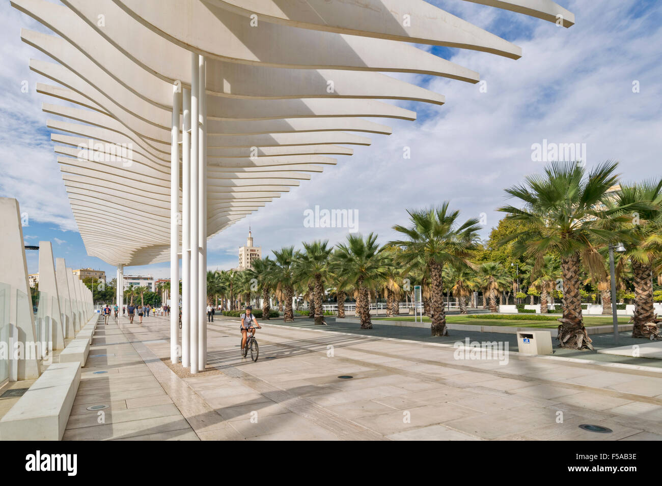 MALAGA-ANDALUSIEN SPANIEN GEFORMTEN WEG ENTLANG DES HAFENS MIT ALLEE VON PALMEN Stockfoto