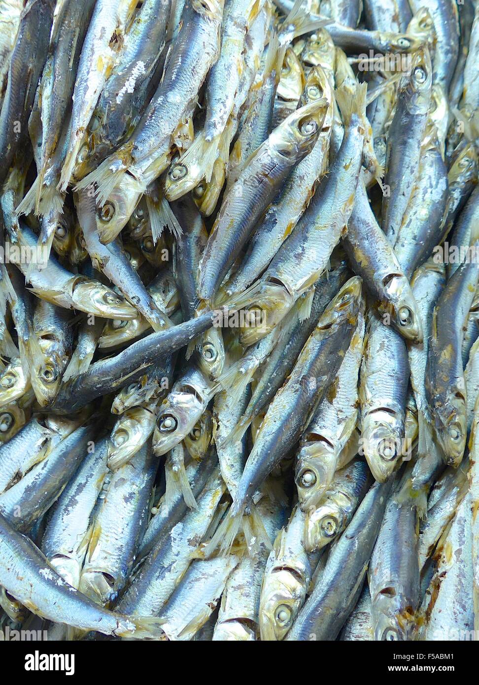 Getrocknete Fische Closeup auf dem Markt Stockfoto