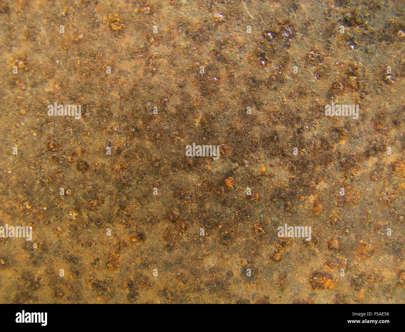 Closeup Rost Textur, Metallplatte Hintergrund Stockfoto
