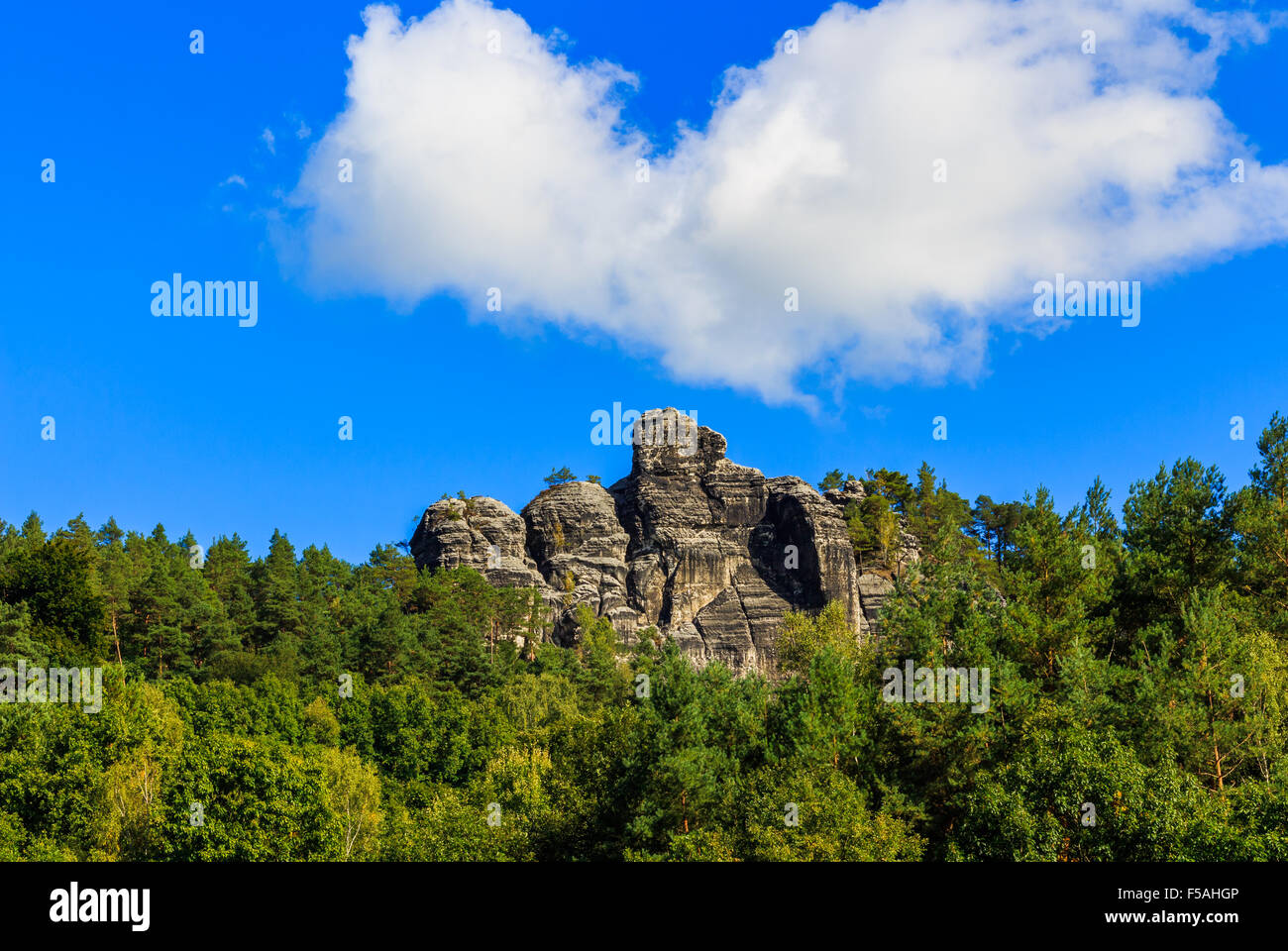 Panorama mit typischen Rock Zinnen an Bastei in Rathen, Sächsische Schweiz Stockfoto