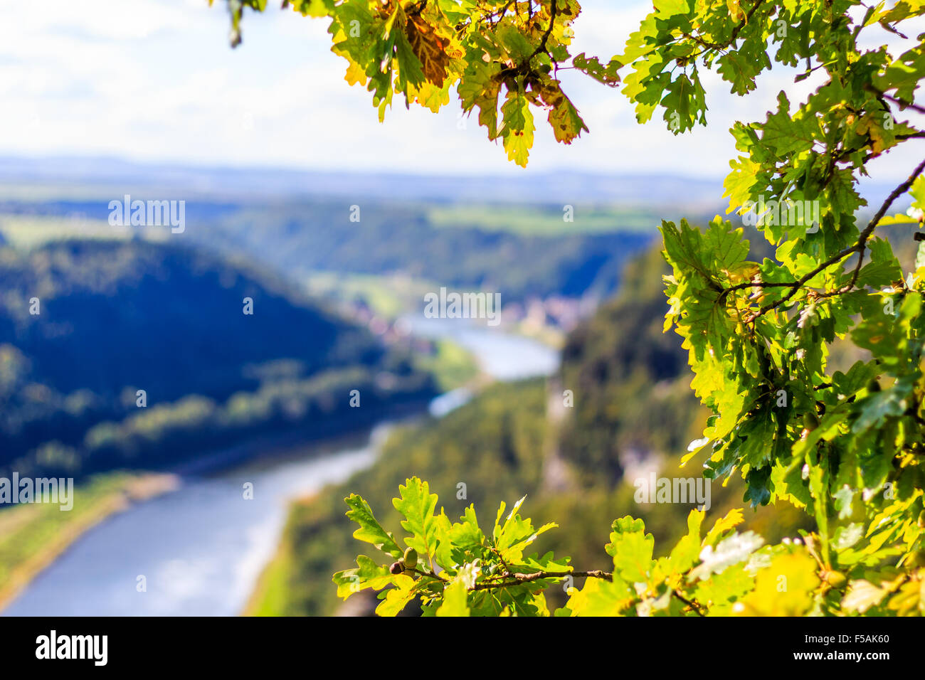 Blick aus Sicht der Bastei in der sächsischen Schweiz Deutschland auf die Stadt und den Fluss Elbe an einem sonnigen Tag im Herbst Stockfoto