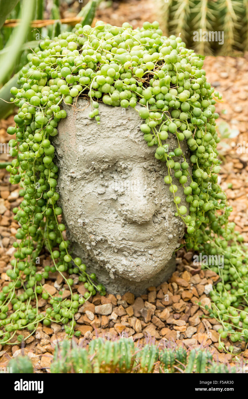 Humorvolle Kopf Skulpturen unter die Kakteen in der Wüste Biome der Franklin Park Conservatory und Botanischer Garten in Columbus, Stockfoto