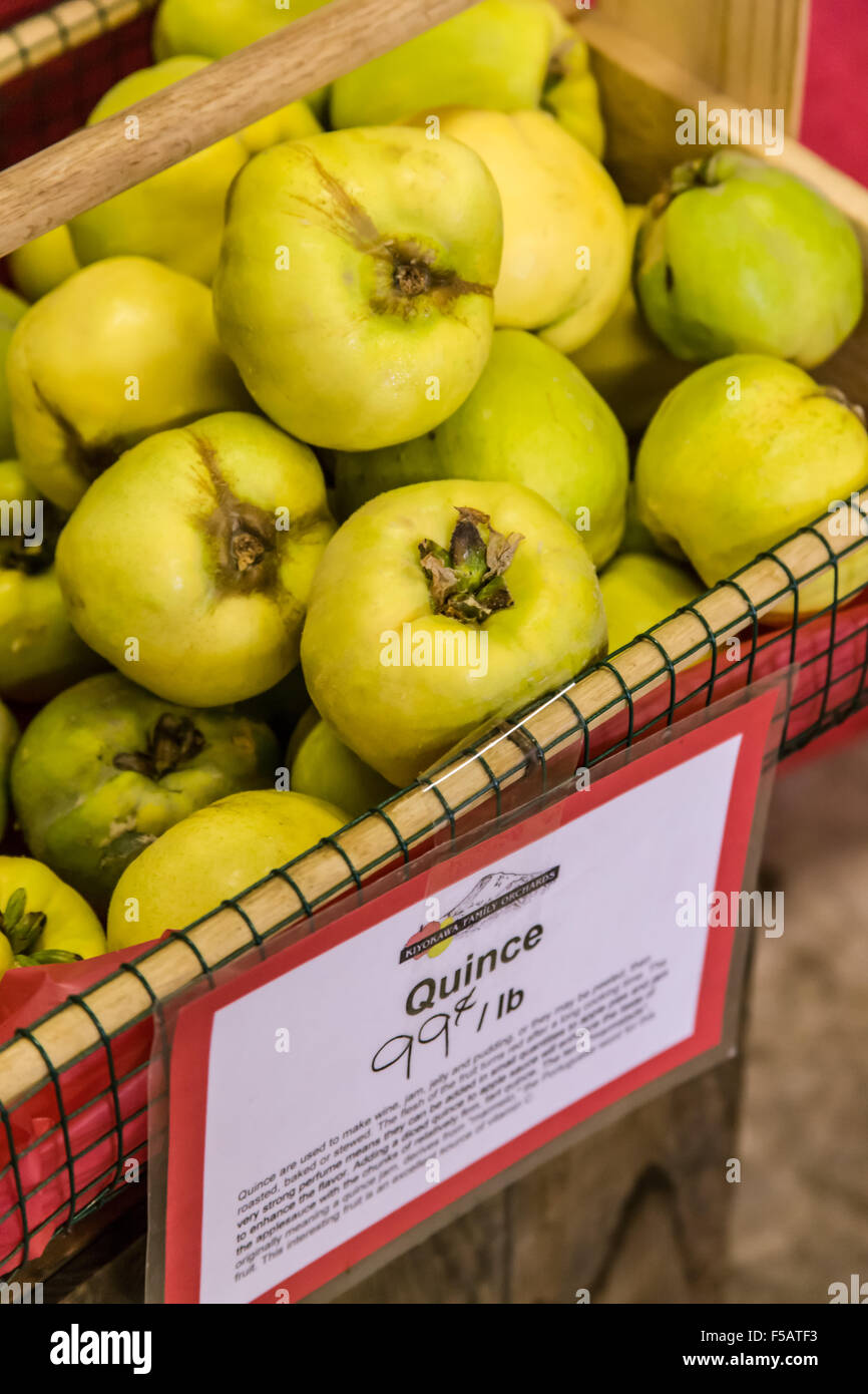 Box mit Quitte zum Verkauf an die Kiyokawa Familie Obstgärten in der Nähe von Hood River, Oregon, USA.  Dies ist halt #18 auf 2014 Fruit Loop. Stockfoto