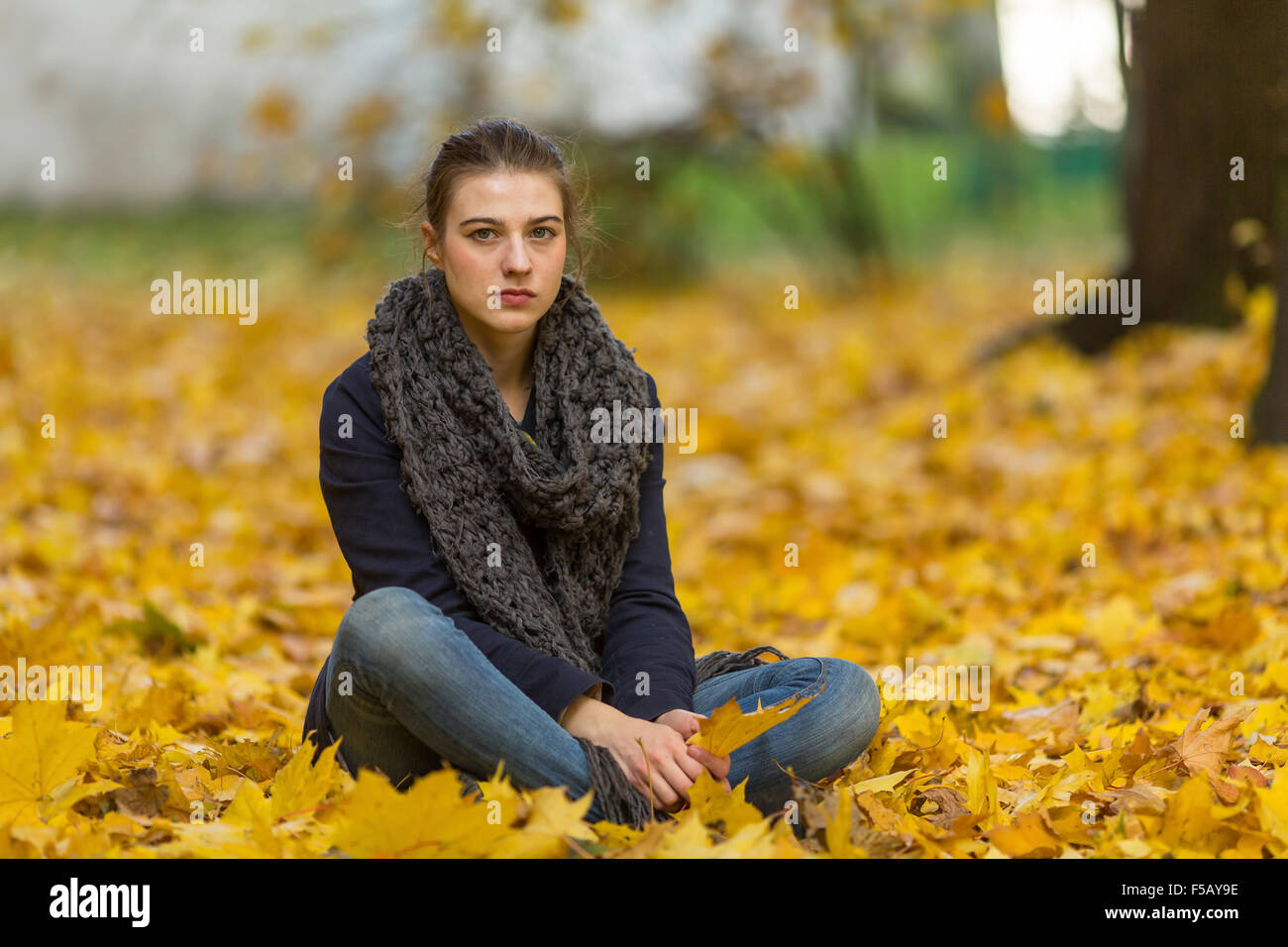 Junges Mädchen im Herbst Park. Stockfoto