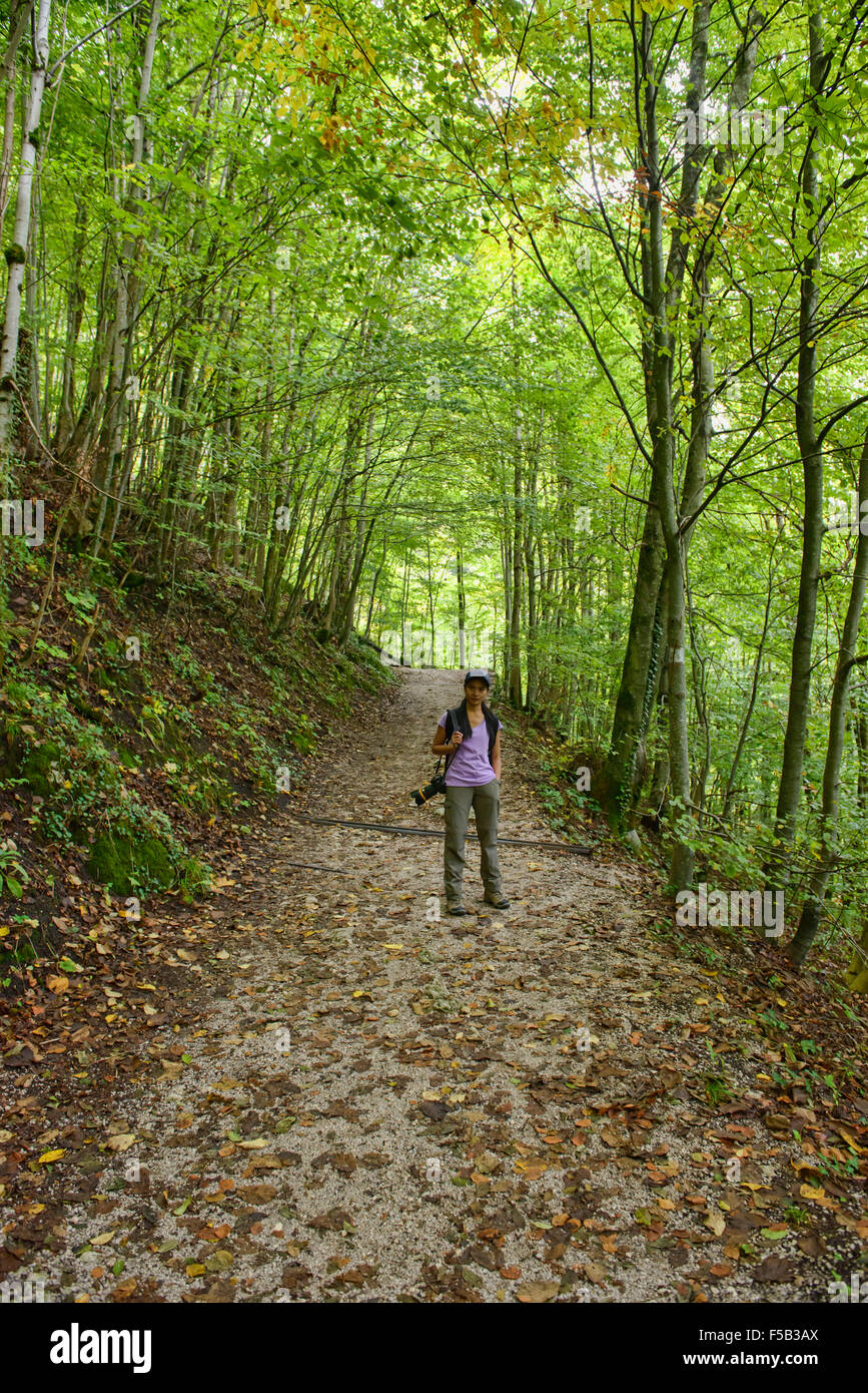 Herbst kommt in den Wald in Hallstatt, Salzkammergut, Österreich Stockfoto