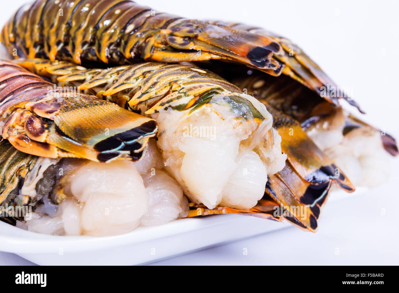 Rohe Hummerschwänze auf einem weißen Teller bereit, Kochen Stockfoto