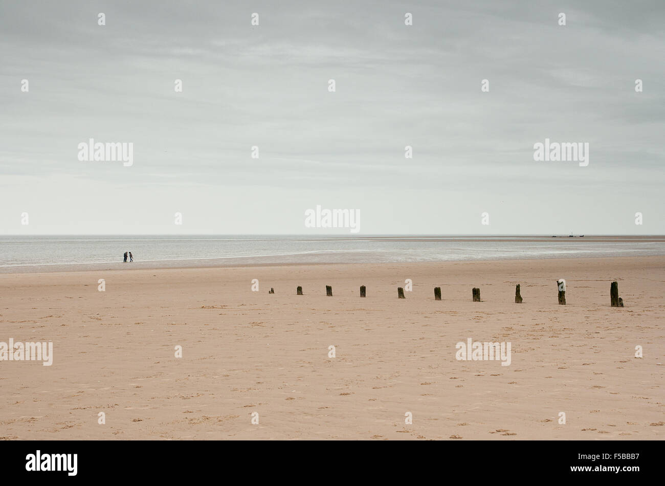 Riesigen leeren Strand und Horizont mit verwitterten Buhnen, Norfolk, Großbritannien Stockfoto