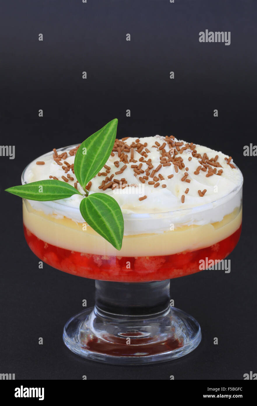 Traditionelles englisches trifle Dessert auf schwarzem Hintergrund mit Textfreiraum Stockfoto