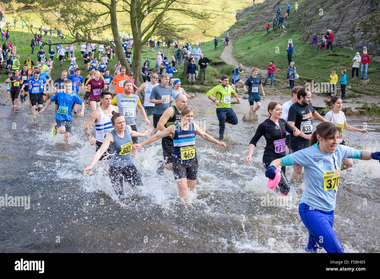 Dovedale, Derbyshire, UK. 1. November 2015. Mehr als tausend club Läufers und Spaß Läufers beteiligte sich an der 59. Dovedale Dash cross Country Rennen, den Kurs rund 4,3/4 Meilen unter dem Schatten des "Thorpe Cloud" und über die berühmte Trittsteine über den Fluss Dove. Bildnachweis: IFIMAGE/Alamy Live-Nachrichten Stockfoto