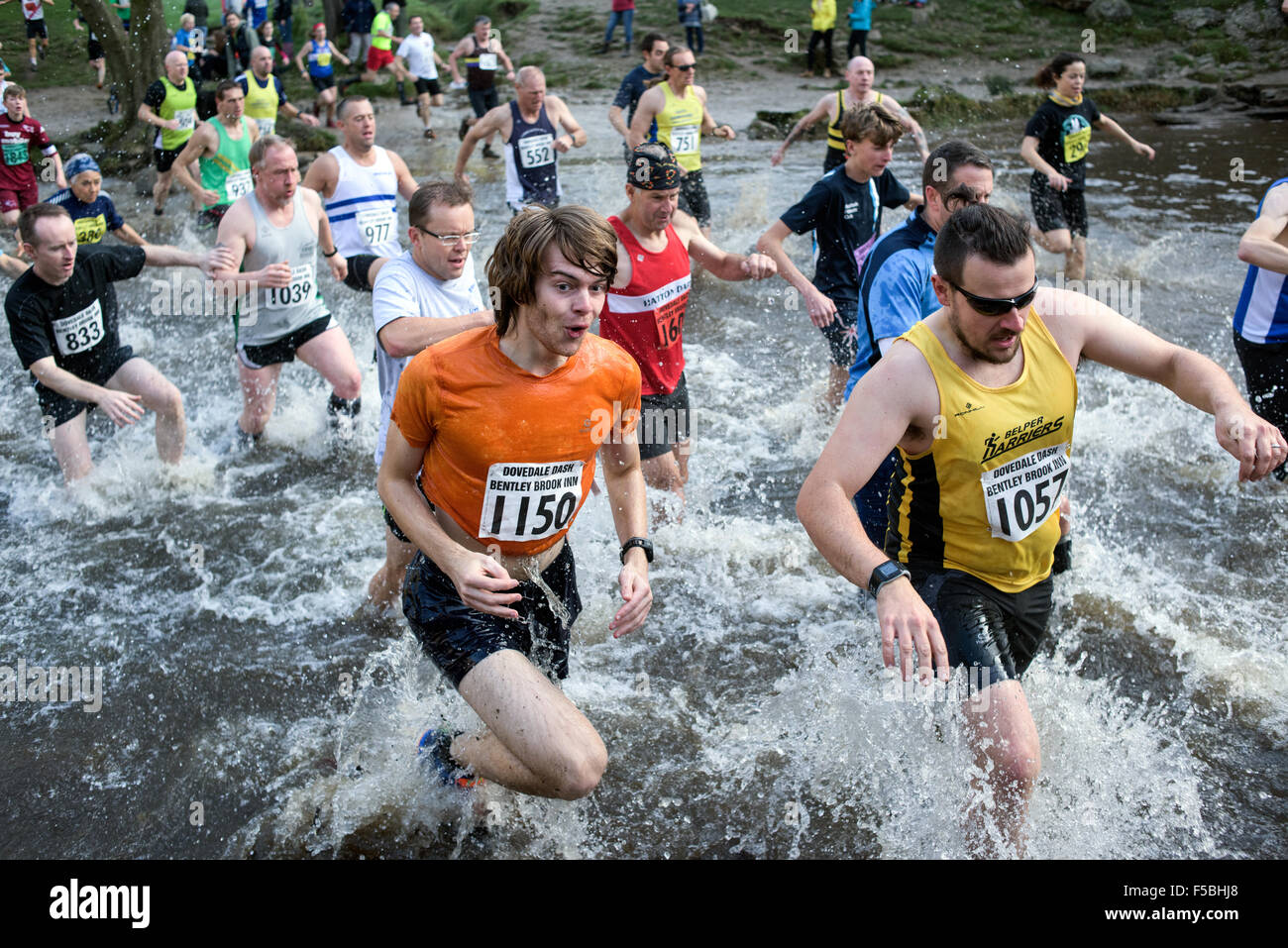 Dovedale, Derbyshire, UK. 1. November 2015. Mehr als tausend club Läufers und Spaß Läufers beteiligte sich an der 59. Dovedale Dash cross Country Rennen, den Kurs rund 4,3/4 Meilen unter dem Schatten des "Thorpe Cloud" und über die berühmte Trittsteine über den Fluss Dove. Bildnachweis: IFIMAGE/Alamy Live-Nachrichten Stockfoto