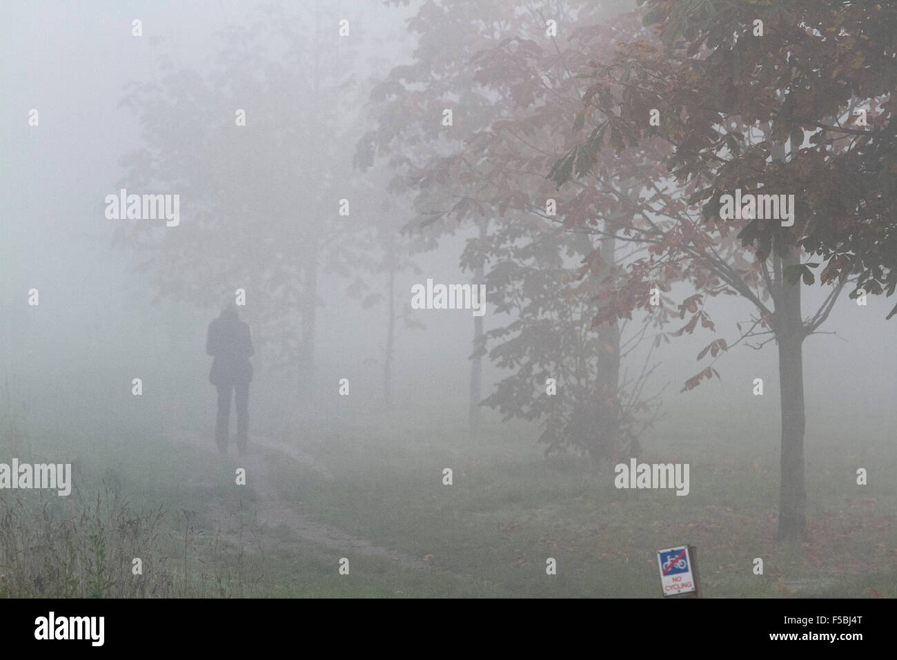 London, UK. 1. November 2015. Nebliges Wetter auf Wimbledon Common London Kredit: Amer Ghazzal/Alamy Live-Nachrichten Stockfoto