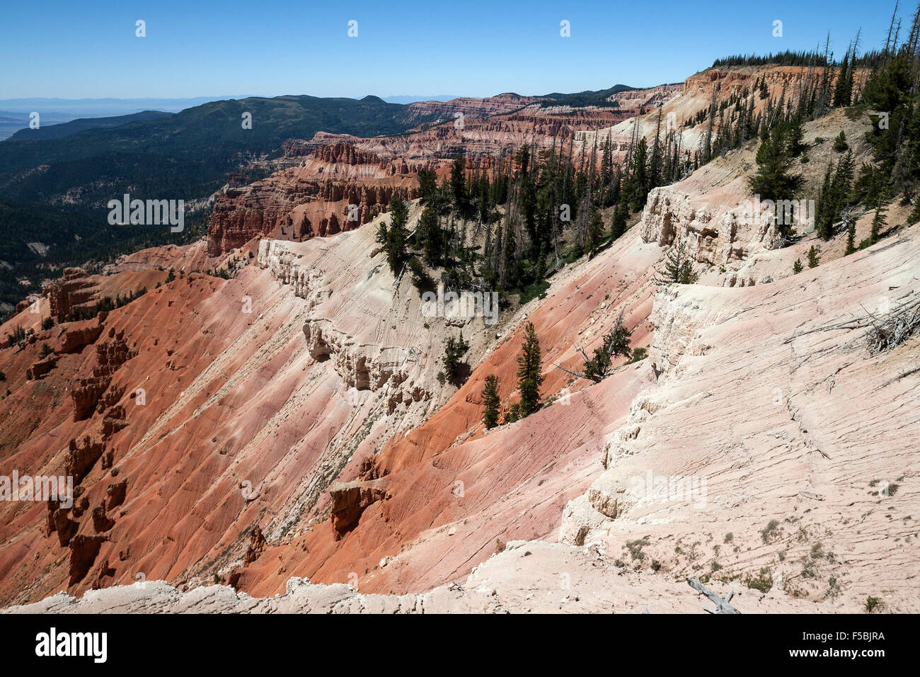 Blick auf bizarre Sandstein Erosionen im Amphitheater, Cedar Breaks National Monument, Utah, USA Stockfoto