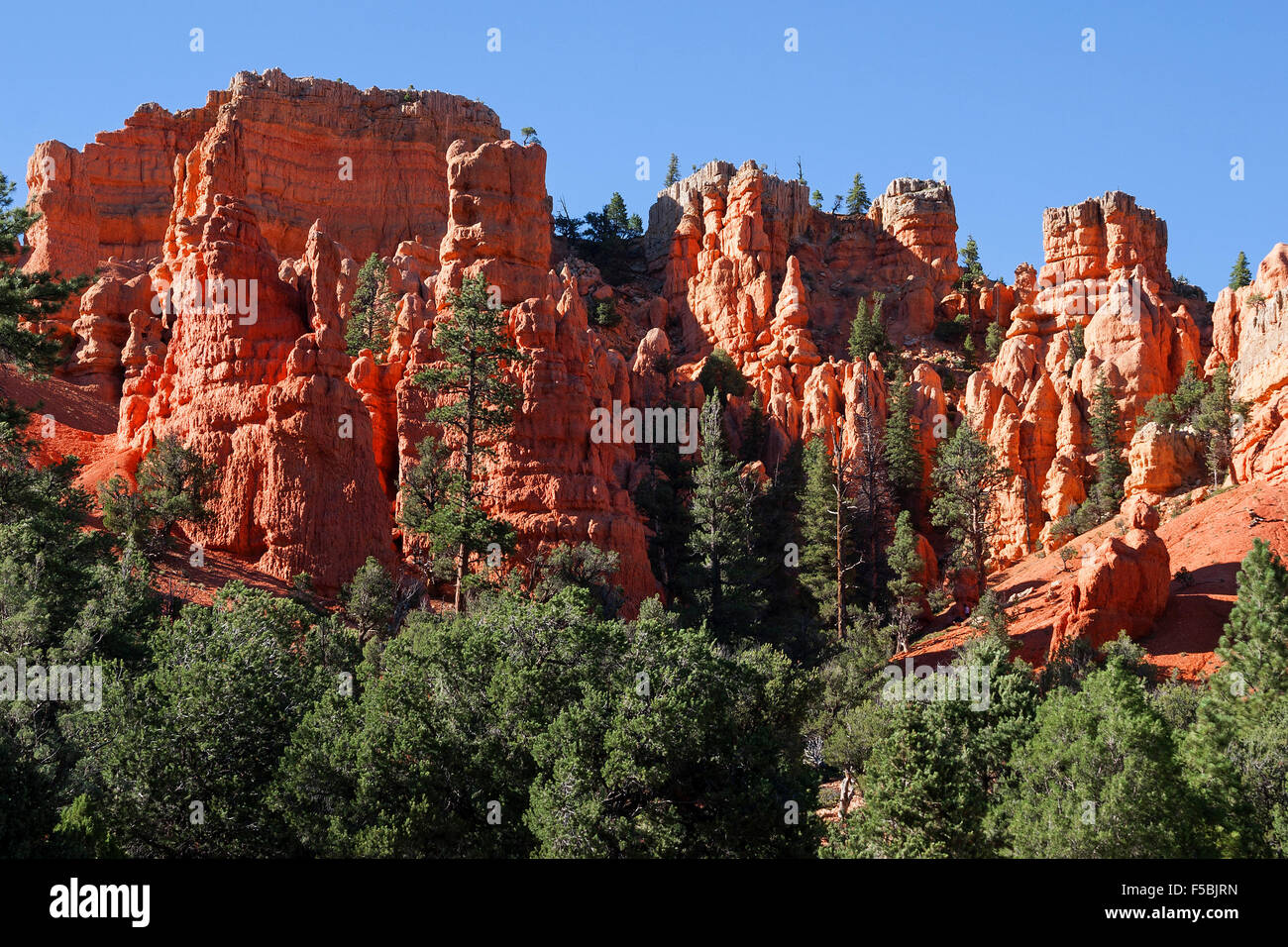 Felsformationen geschaffen durch die Erosion, Red Canyon, Utah, USA Stockfoto