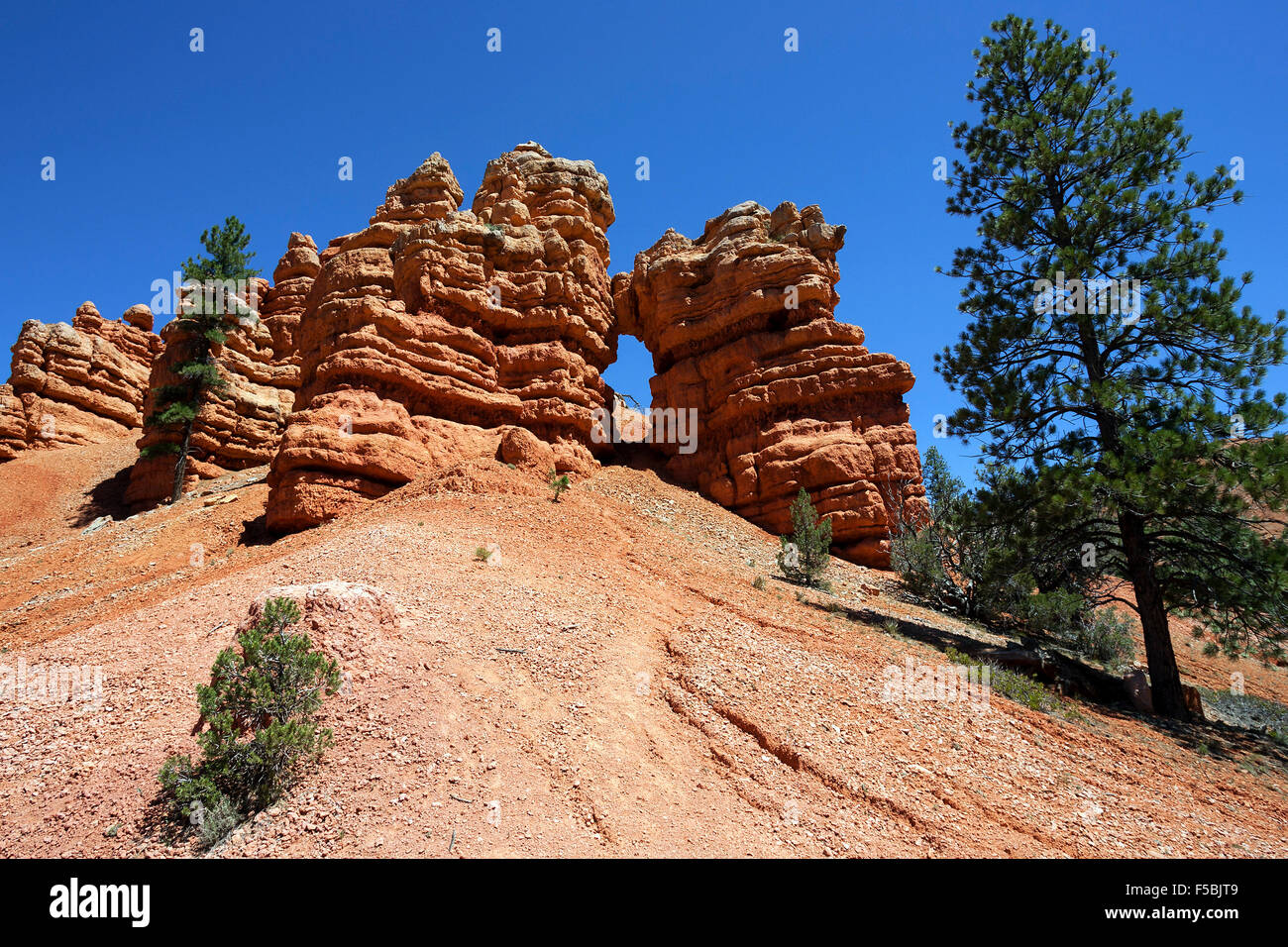 Felsformationen geschaffen durch die Erosion, Red Canyon, Utah, USA Stockfoto