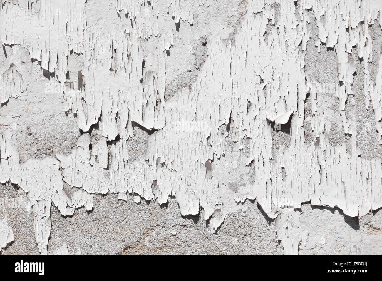 Vintage Flocken weiße alte Farbe auf graue Betonwand Stockfoto
