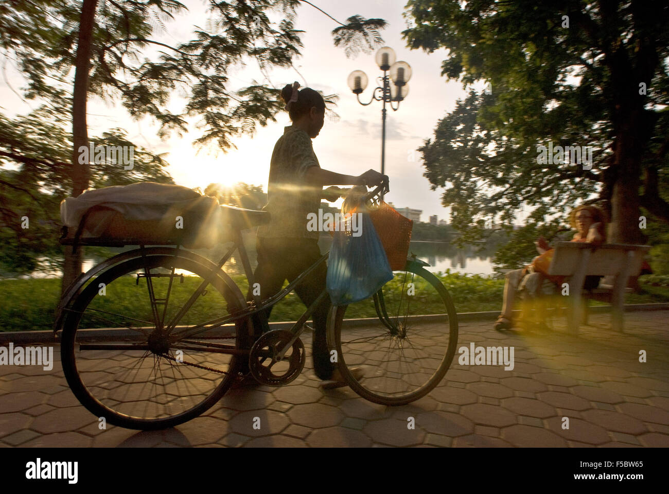 Hoan Kiem See Hanoi, Vietnam, überhängenden Flamme von Waldbäumen, Bänke. Hanoi. Vietnam. Sonnenuntergang und Mann mit einem Fahrrad. PE Stockfoto